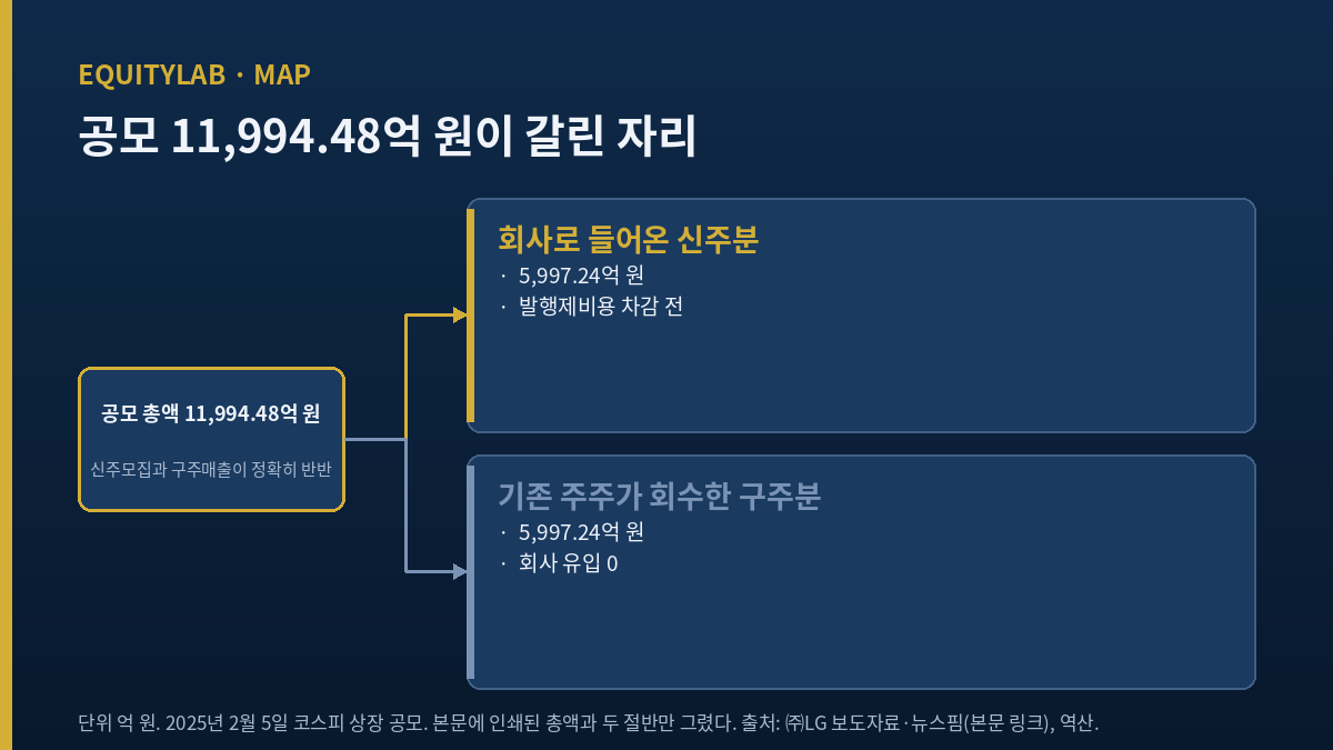 LG CNS 공모 총액과 회사로 유입된 신주분을 나눈 그림