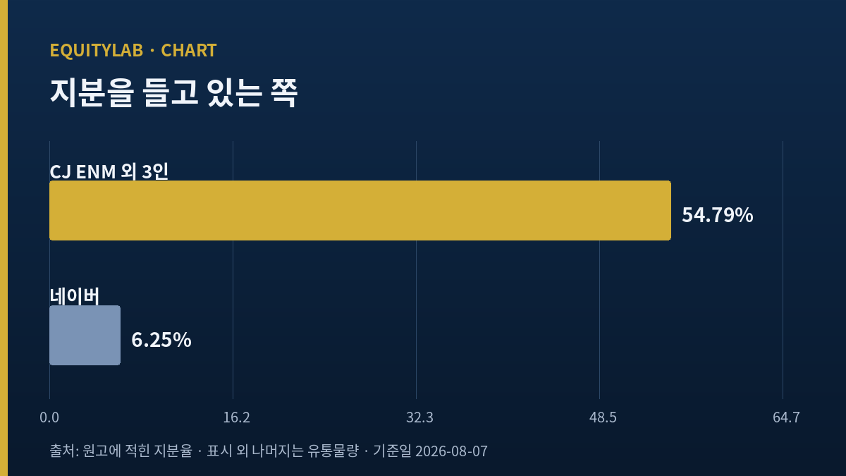 스튜디오드래곤 지분 구조 도표