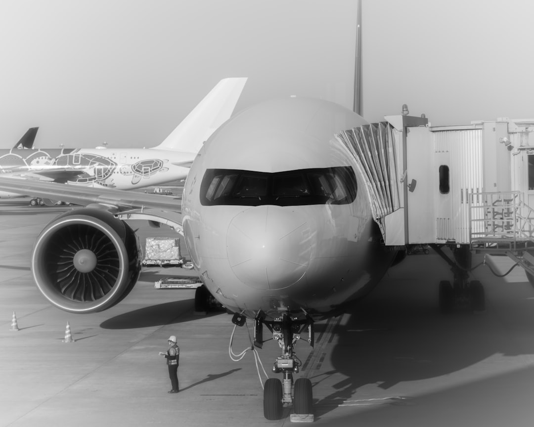 진에어 주가 분석을 위한 항공기 운항 이미지